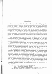 Scan der Originalseite 3