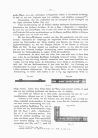 Scan der Originalseite 172