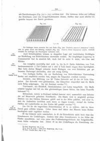 Scan der Originalseite 394